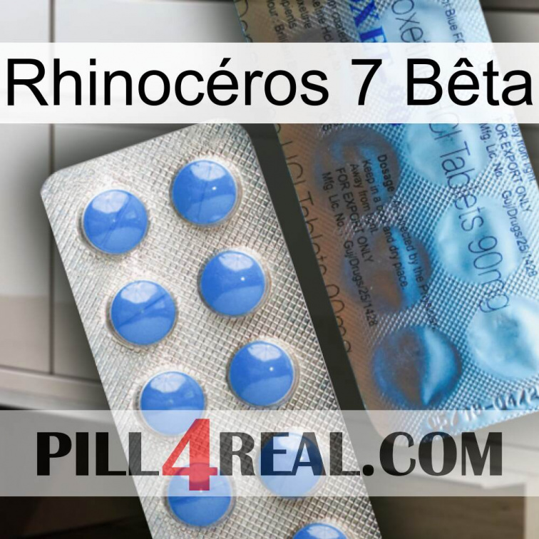 Rhinocéros 7 Bêta 40